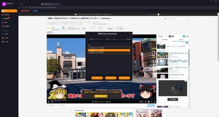 KeepStreamsでニコニコ動画をダウンロードする手順-3