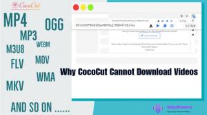 Why CocoCut Cannot Download Videos and How to Fix It in 2026